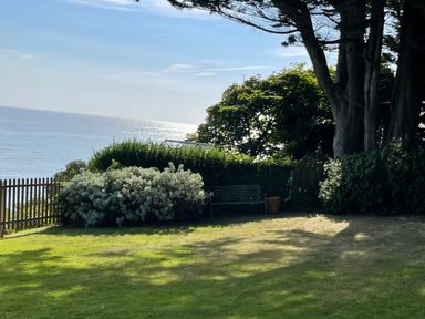 A garden with a bench trees and bushes overlooking the sea at Rocklea Seaside Cottage in Newcastle County Down