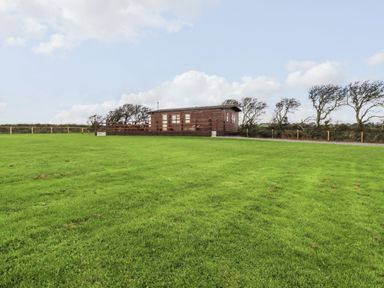 A wooden cabin on a grassy field with a fenced area and trees in the background at Sycamore Lodge in Porkellis near Helston
