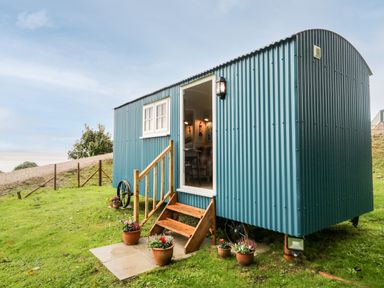 A small blue corrugated metal hut with wooden steps and potted flowers on grass at Seashore Shepherds Hut @ Moat Farm in Aldingham near Ulverston