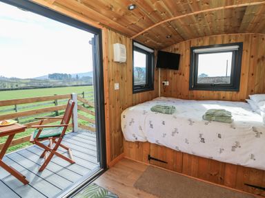 A small wooden room with a bed two windows a wall-mounted TV and an open door leading to an outdoor deck with a wooden chair and table at Claerwen Nant-glas near Rhayader