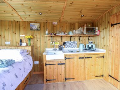 A wooden cabin kitchen with a bed to the left plates glasses kettle toaster and microwave on the countertop at Claerwen Nant-glas near Rhayader