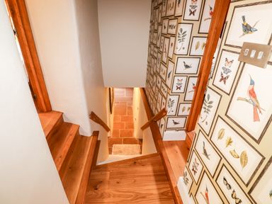 A wooden staircase with bird and butterfly framed pictures on the wall at Eagle Farmhouse in Glenridding