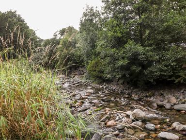A rocky stream with water flowing through trees and tall grass at Eagle Farmhouse in Glenridding