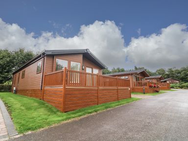 Several wooden lodges with fenced porches along a paved driveway at The Warren in Hellifield