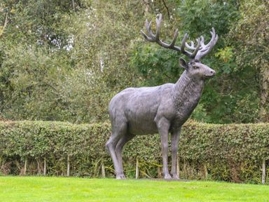 A metal statue of a stag with large antlers on grass with shrubs and trees in the background