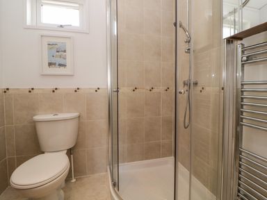 A bathroom with a toilet a framed picture a shower with glass doors and a chrome towel radiator at Meadow Lodge in Newton Ferrers
