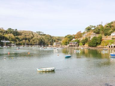 A river with boats and trees on the banks at Meadow Lodge in Newton Ferrers