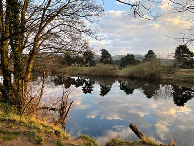 A river with trees on the bank and hills in the background at Toll House in Corbridge
