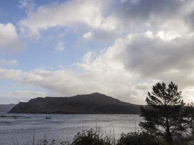 A body of water with a boat and a mountain in the background with a tree and bushes in the foreground at The Hideout in Portree