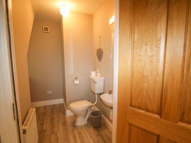 A small bathroom with a toilet sink and a wooden door at Pebble Lodge in Kenmare County Kerry