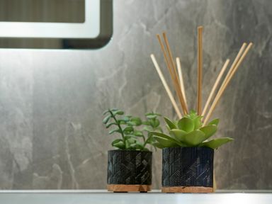 Two small potted plants and reed diffuser sticks on a bathroom counter at Riverside Park 2 in Keswick