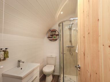 A bathroom with a toilet sink shower and circular wall shelf with plants at Jenny - Crossgate Luxury Glamping in Hartsop near Glenridding