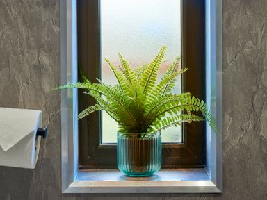 A potted fern plant on a windowsill next to a toilet paper roll holder in a bathroom at Riverside Park 6 in Keswick
