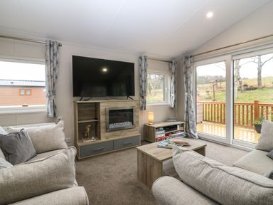 A living room with sofas a wall-mounted television a fireplace a coffee table and sliding glass doors at Woodpecker Lodge in Dunbar