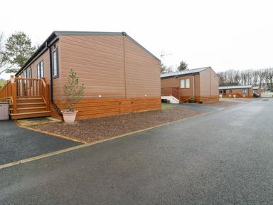 A row of brown mobile homes with small porches and gravel parking spaces along a paved road at Woodpecker Lodge in Dunbar