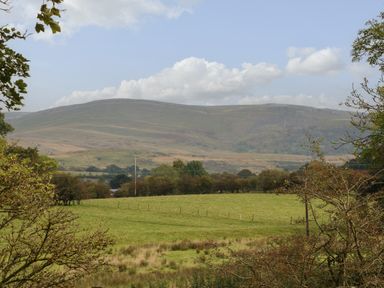 A grassy field with trees and hills in the background at Row End farm in Brough