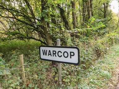 A WARcop sign beside a wooded area with trees and green foliage