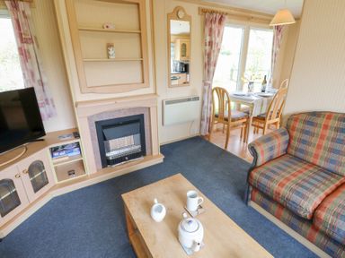 A living room with a fireplace television sofa coffee table and dining table with chairs at Row End farm in Brough