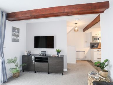 A living room with a wall-mounted TV and a black cabinet with plants and decorative items at Bywyd Da 232 Cae Du in Abersoch