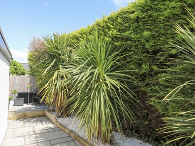 A patio area with outdoor furniture and tall green plants along the edge at Bywyd Da 232 Cae Du in Abersoch