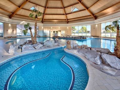 An indoor swimming pool with rocks and palm trees inside a room with a wooden ceiling and large windows at The Warren T23 in Abersoch