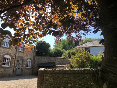 A stone house with white windows and a door under a tree with brown leaves at The Coach House at Lackington Farm in Piddletrenthide