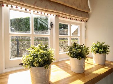 Three potted plants on a wooden windowsill with a window and curtain at The Coach House at Lackington Farm in Piddletrenthide