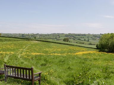 A grassy field with yellow flowers and a wooden bench overlooking hills with trees and hedges at The Shippon in Honiton