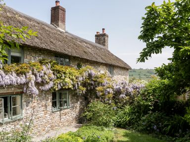 A stone cottage with a thatched roof and flowering vines in a garden at The Shippon in Honiton