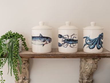 Three ceramic jars with lids featuring a fish lobster and octopus design and a potted green plant on a wooden shelf at Church Rooms in Port Isaac