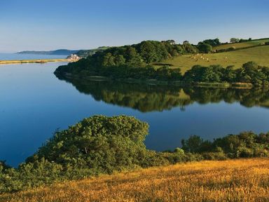 A river surrounded by trees and fields with cows grazing at The Barn 20 At The Beach in Torcross