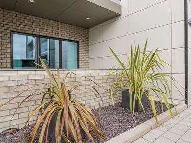 Two large potted plants in an outdoor area with brick and tiled walls at 13 Cliff Edge in Newquay