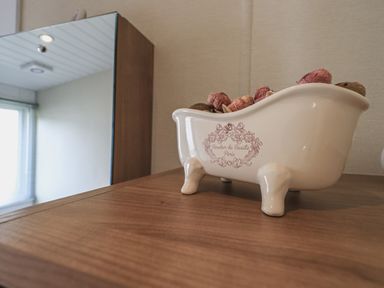 A small decorative bathtub container with potpourri on a wooden surface in a room with a mirror cabinet at Yealands 27 South Lakeland Leisure Village near Carnforth