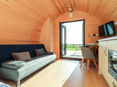 A small wooden room with a gray sofa and pillows a dining table with chairs a TV mounted on the wall and open doors leading outside at Sea View in St Buryan
