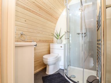 A bathroom with a toilet shower enclosure wooden panel walls and a black rug at Sea View in St Buryan