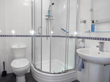 A bathroom with a toilet shower with glass doors and a pedestal sink at Hafod Cottage in Cemaes Bay