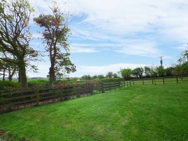A grassy lawn with a wooden fence and trees under a blue sky at Hafod Cottage in Cemaes Bay