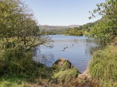 A lakeside view with trees bushes and ducks swimming at Brookside in Grizebeck