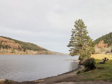 A lakeside with a grassy area benches a large tree and forested hills at Owl Lodge in South Laggan near Invergarry