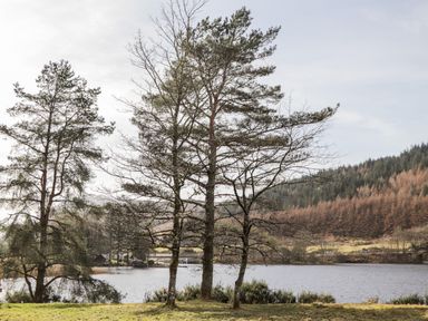 Trees by a lake with hills and a bridge in the background at Owl Lodge South Laggan near Invergarry