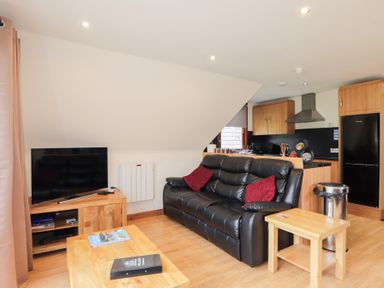 A living room with a black leather sofa with red cushions a wooden coffee table and a TV on a wooden stand at Owl Lodge South Laggan near Invergarry
