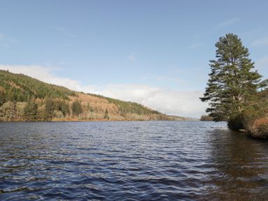 A lake with trees along the shore at Owl Lodge South Laggan near Invergarry