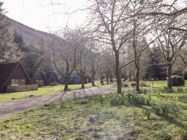 A row of wooden triangular cabins along a road with trees and flowers in a grassy area at Owl Lodge in South Laggan near Invergarry
