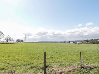 A green field with electric poles and trees at Whinney Moor in 