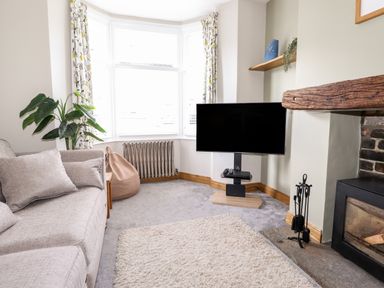 A living room with a sofa plant tv bean bag and fireplace at Dovestones in Keswick