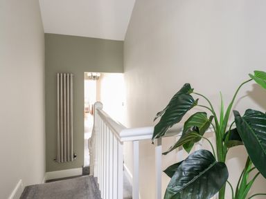 A stairway landing with a green leafy plant a white railing and a vertical radiator at Dovestones in Keswick