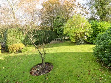 A garden with a small tree surrounded by grass shrubs and a stone bench at The Small House Near Bourton-On-The-Water
