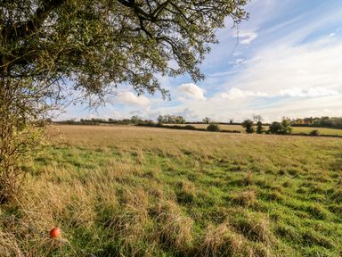 A field with mixed green and dry grass under a blue sky with clouds near trees at The Small House Near Bourton-On-The-Water
