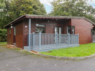 A wooden cabin with a small porch and railing surrounded by grass and trees at Bugle in Saltburn-By-The-Sea