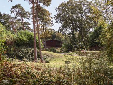 A house surrounded by trees and grass at Bugle in Saltburn-By-The-Sea
